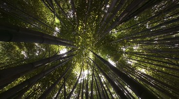 Sustainability Report